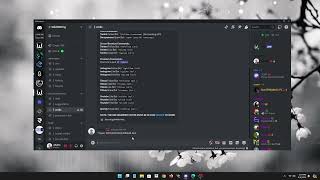 Discord Dm Spammer FREE [upl. by Christin]