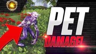 ESO  How To Increase  Boost Pet Damage [upl. by Ytrebil]