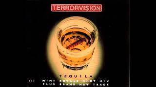 Terrorvision  Tequilla [upl. by Ammej]