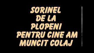 SORINEL DE LA PLOPENI PENTRU CINE AM MUNCIT [upl. by Chapin540]