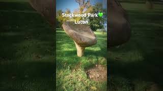 Lets go to Stockwood park with me [upl. by Zachery59]