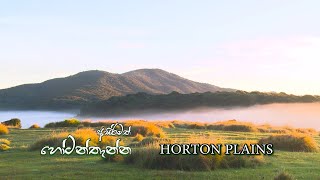 Horton plains  Programme 01  20190602  Rupavahini Documentary [upl. by Nyrual]