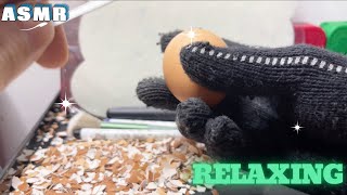 ASMR peel the shiny eggs 3 asmr relaxing [upl. by Larsen802]