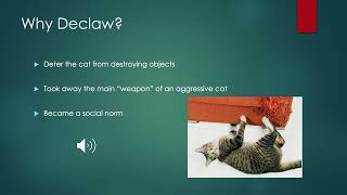 Declawing Onychectomy in Cats An Overview [upl. by Magdalene866]