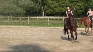 Cours de dressage Sonia et Wendy [upl. by Assilim]