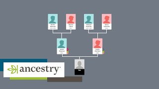 How Ancestry works  Howto  Ancestry UK [upl. by Aynotan]