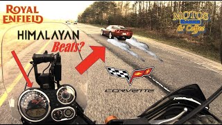 Royal Enfield Himalayan  TOP SPEED Test– Beats a Corvette MORE POWER  ECU and KampN Mods 4K [upl. by Abil837]