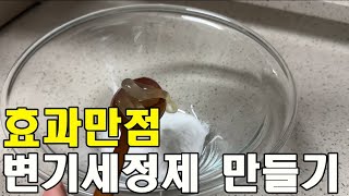 효과만점 가성비최고인 변기세정제만들기 [upl. by Euqimod]