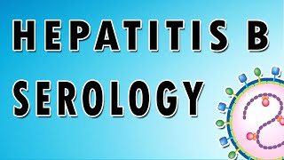 Hepatitis B Serology [upl. by Leandra762]