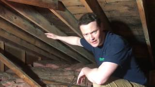 Theres Mold in my Attic What Caused it and How Insulwise Solves it [upl. by Geoffry]