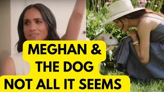 MEGHAN TRULY HAS ZERO SCRUPLES WHEN IT COMES TO THIS meghan meghanmarkle news [upl. by Silverman]