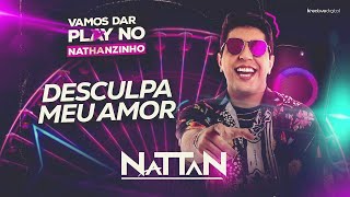 DESCULPA MEU AMOR  NATTAN Nathanzinho [upl. by Cynthla]