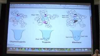 12 Biochemistry Catalytic Mechanisms I Lecture for Kevin Aherns BB 450550 [upl. by Ahseat]