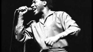 Otis Redding  Day Tripper HQ [upl. by Lieno]