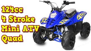 Bigfoot 125cc Midi Quad Automatic  Reverse  Review Nitro Motors Germany [upl. by Leigh761]