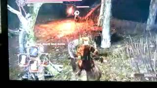 Dark Souls 2  Farming Huntsmans Copse For Souls [upl. by Oralia]