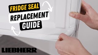 How To Replace Liebherr Fridge Seal Guide KitchenAidMaytagMiele [upl. by Htabazile]