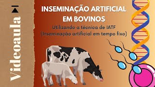 Inseminação Artificial em Bovinos  videoaula ATER a Distância [upl. by Broderic769]