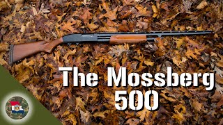 The Mossberg 500 [upl. by Ultima]