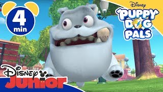 Puppy Dog Pals  La partita  Disney Junior Italia [upl. by Etta]