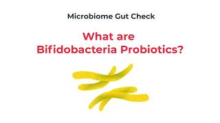 Bifidobacteria Probiotics Explained [upl. by Anertak]