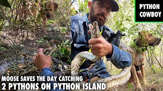 Python Hunting With Moose My New Python Dog [upl. by Comyns]