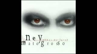 Ney Matogrosso  Poema  Instrumental [upl. by Annayi]