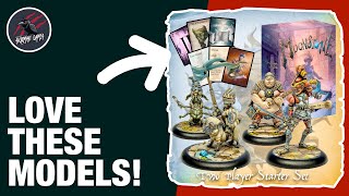 MOONSTONE TABLETOP SKIRMISH GAME  Fantastic Fairytale Miniatures Unboxing [upl. by Burta]