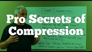 How The Pros Use Compression on Instruments and Mixes [upl. by Nolahp]