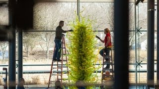 Chihuly Fern Green Tower Time Lapse [upl. by Lanny]