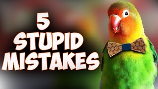 5 Mistakes in Training a LoveBird  Dont Repeat [upl. by Naujet]