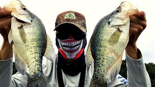 FALL CRAPPIE FISHING How to locate and catch fall crappie [upl. by Revorg115]