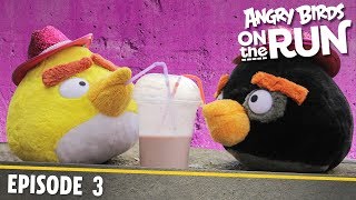 Angry Birds on The Run  Babys Shaky Ride  S1 Ep3 [upl. by Meeka148]