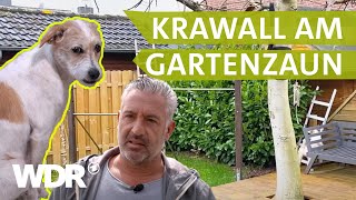 Dem Hund die richtigen Signale senden  Hunde verstehen  S03E05  WDR [upl. by Ymaj]