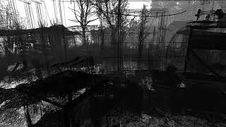 MetroExodus DX12 Wireframe mode [upl. by Elatsyrk]