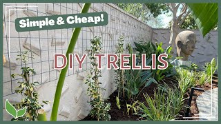 DIY Garden Trellis  Inexpensive amp Easy Privacy Trellis [upl. by Enilada935]