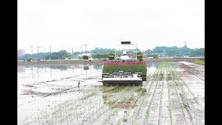 Yanmar AutoRice Transplanter YR8D A 060 [upl. by Sanders115]