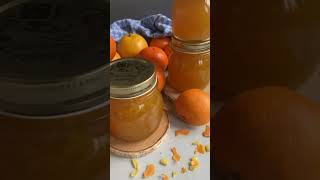 Orangen Marmelade aus frisch gepressten Orangen [upl. by Anelrihs]