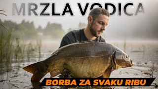 Šaranski ribolov u carstvu trave  MRZLA VODICA [upl. by Nnyleve]