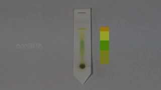 Paper Chromatography  MeitY OLabs [upl. by Annodahs545]