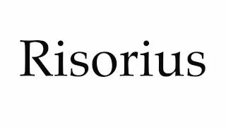 How to Pronounce Risorius [upl. by Callida]