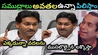 Ap politics ys Jagan serious warning to TDP leaders trolls ll ys Jagan reaction on vijayamma trolls [upl. by Ekaterina]