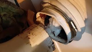 How to unblock a toilet macerator saniflo that wont flush Grundfos Sololift2 [upl. by Eudosia]