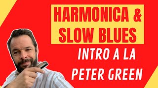 COMMENT JOUER UN SLOW BLUES A LHARMONICA  Inspiration Peter Green [upl. by Gib]