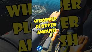 Ep 07  Spring TOPWATER Fishing Action  Roosevelt Lake AZ shorts fishing kayakfishing [upl. by Aitselec]