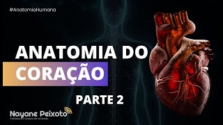 Anatomia do Coração parte 2 [upl. by Kerby322]