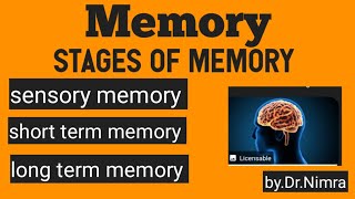 3 stages of memory sensoryshort term long termin psychology seriesby Dr Nimra [upl. by Urbain646]