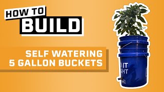 How to Build Self Watering 5 Gallon Buckets [upl. by Tuchman189]