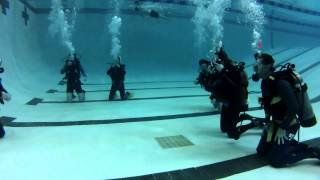 OPEN WATER DIVE POOL TRAINING SQUALUS MARINE DIVERS [upl. by Jocko418]