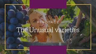 Learn wine Love wine Pinotage [upl. by Nera101]